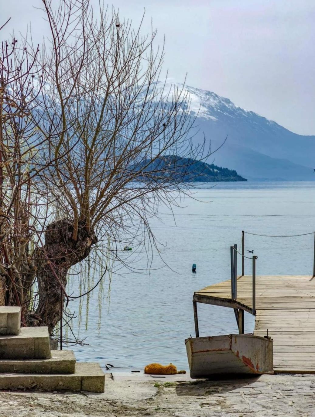 Pearl'S Apartments Ohrid Bagian luar foto